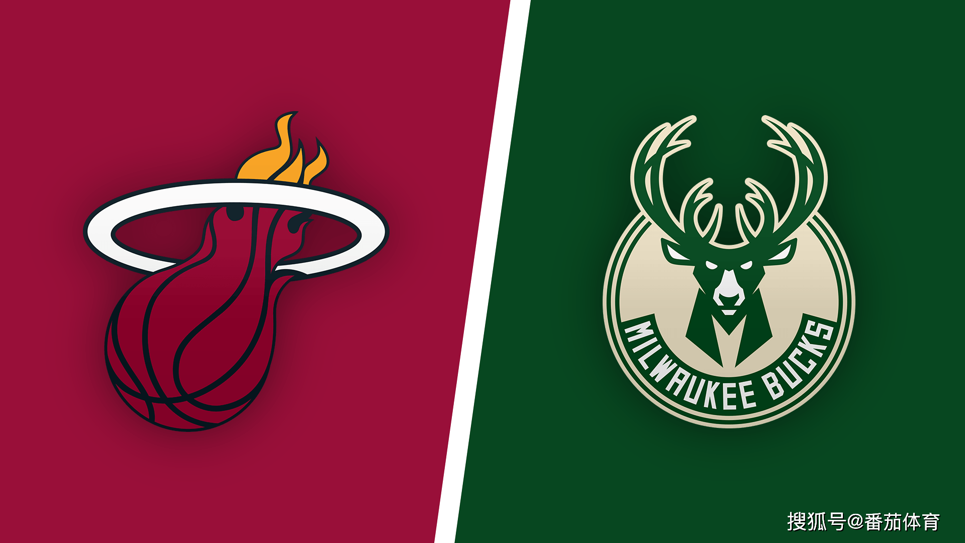 尔克的比赛 尔克的比赛